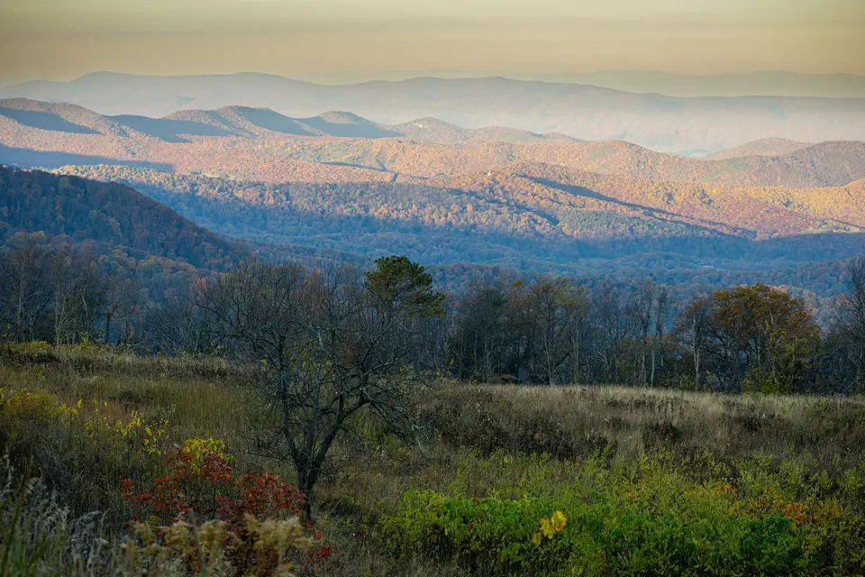 The Blue Ridge Mountains rolling away behind a grassy hillside in Virginia
