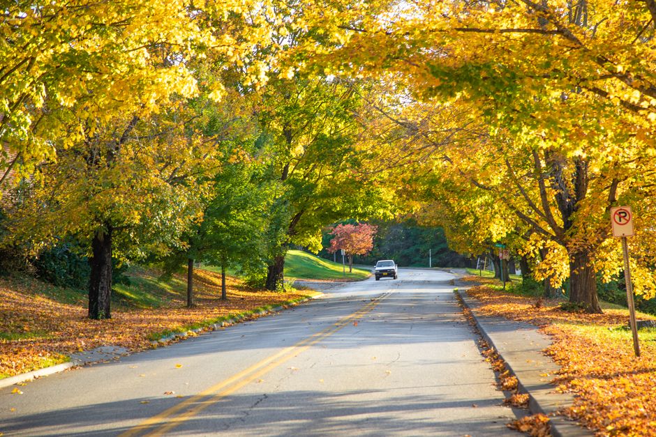 A tree-lined two-lane road in Virginia in autumn
